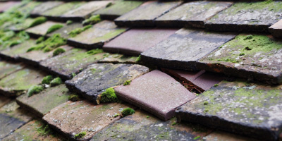 Croes Y Pant roof repair costs